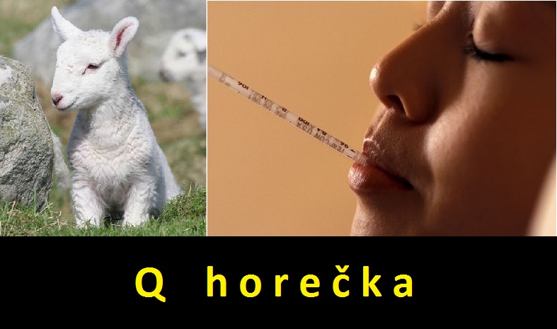 q-horecka-priznaky-projevy-symptomy