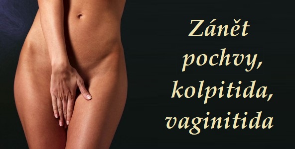 Zánět pochvy kolpitida vaginitida obrázek fotografie příčina léčba diagnostika rizikové faktory