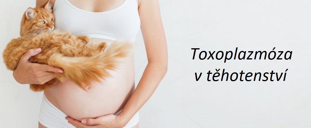 toxoplazmoza v tehotenstvi priznaky projevy symptomy